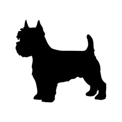 Schnauzer dog silhouette isolated on white, Black silhouette of a schnauzer dog standing on white background, ideal for pet logos, decals, and graphic design.

