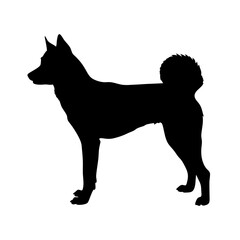 Silhouette of a dog breed, shiba inu, pet animal, canine companion, domestic animal, mammal, dog