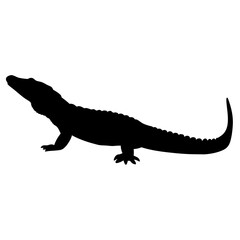 Alligator silhouette vector illustration of reptile gator wildlife animal swamp predator danger crocodylus