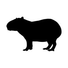 Capybara vector art illustration rodent animal south america wildlife nature mammal silhouette design graphic