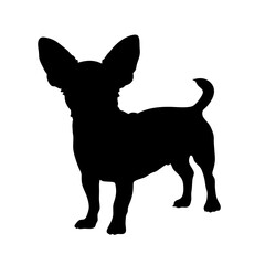 Chihuahua dog silhouette vector illustration pet animal canine breed puppy small dog art design icon