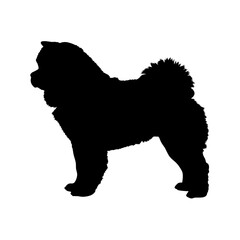 Chow chow dog silhouette vector illustration cute pet animal breed canine puppy domestic friend chowchow