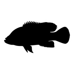 Illustration of a black fish silhouette vector graphic animal aquatic nature wildlife ocean sea life design, art