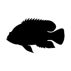 Silhouette of a fish, black fish, aquatic animal, tropical fish, ocean life, fish vector image
