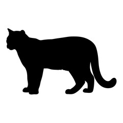 Black cat silhouette vector illustration feline domestic animal pet mammal shadow graphic design art