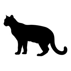 Black cat silhouette vector illustration of feline domestic animal pet mammal design isolated art