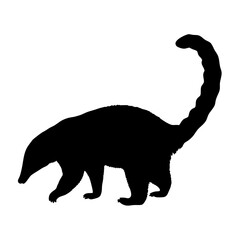 Explore the silhouette of a south american coati, a mammal with a long tail and a curious nose