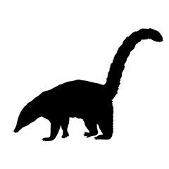 Silhouette of coati mammal animal wildlife nature south american animal coati illustration vector art