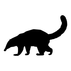 Discover the coati silhouette vector art: a wildlife illustration of a ring tailed coati mammal animal