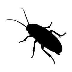 Illustration of cockroach silhouette, insect pest, vector graphic, bug, roach, pest control, creepy crawly