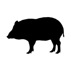 Illustration of a wild boar silhouette vector image animal wildlife nature mammal pig swine feral hog black