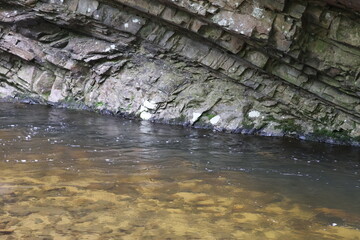 Riverbed creek in the Blue Ridge mountains of Tennessee.