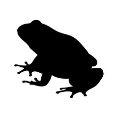 Frog amphibian animal wildlife nature silhouette vector illustration graphic design element image art