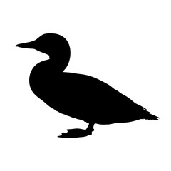 Isolated black silhouette of a duck waterfowl bird swimming wildlife nature animal vector illustration