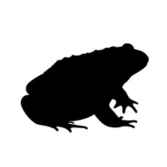 Black silhouette of a toad amphibian vector illustration wildlife animal toad drawing design art