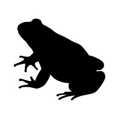 Frog amphibian wildlife nature animal silhouette toad reptilian vector illustration graphic art