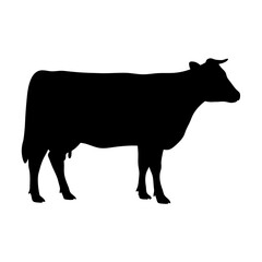 Cow silhouette vector graphic animal farm livestock dairy cattle beef mammal illustration agriculture design