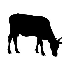 Black cow silhouette vector illustration of farm animal grazing cattle livestock mammal design graphic