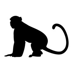 Monkey silhouette vector graphic primate animal wildlife ape mammal jungle design illustration animal