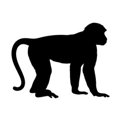 Silhouette monkey vector illustration, black monkey, wildlife animal, primate, ape, mammal, zoo art