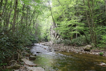 Riverbed creek in the Blue Ridge mountains of Tennessee.