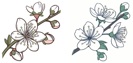 A guava flower icon with white petals and a 
cluster of stamens.