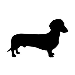 Dachshund dog silhouette vector illustration wiener dog sausage dog teckel doxie dachshund puppy pet breed