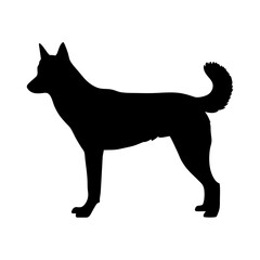 Dog silhouette vector illustration featuring animal canine pet mammal breed domestic friend black art
