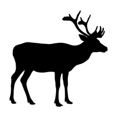 Silhouette of a majestic deer with antlers wildlife animal forest nature mammal vector illustration