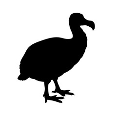 Dodo bird extinct animal silhouette illustration vector image dodo bird silhouette animal extinct bird © IsratJahan
