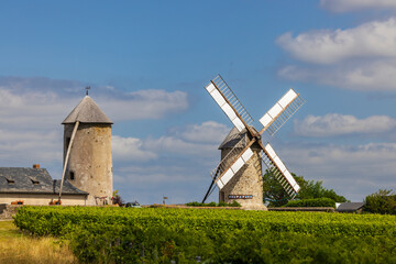 Windmills standing in the vineyards of Chaudefonds sur Layon in the Loire Region, France © Richard Semik