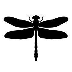 Dragonfly silhouette vector insect flying animal wings nature wildlife design graphic art drawing