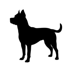 Dog silhouette vector pitbull terrier canine animal pet puppy breed domestic mammal illustration design