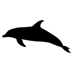 Dolphin silhouette vector art marine mammal ocean sea life aquatic animal design illustration graphic