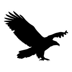 Eagle silhouette vector illustration flying bird of prey wildlife animal nature freedom falconry
