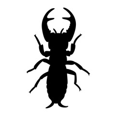 Black earwig silhouette vector illustration of insect pest forficula auricularia design element