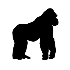 Silhouette gorilla vector illustration, ape animal wildlife primate african mammal jungle, art