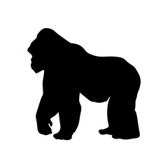 Obraz premium Gorilla silhouette vector illustration of a powerful ape primate in black and white design