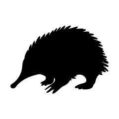 Echidna vector silhouette australian animal spiny anteater mammal wildlife illustration icon image art