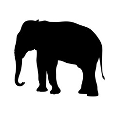 Elephant silhouette vector illustration african animal wildlife nature safari big mammal animal art design
