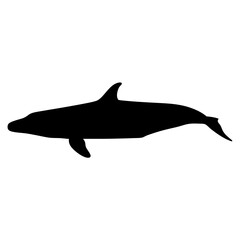 Dolphin silhouette marine mammal ocean sea animal aquatic wildlife nature underwater swimming mammal vector