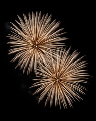 Naklejka premium Two Golden Fireworks Exploding Against Black Sky Nighttime Celebration Low Angle View Close Up Abstract