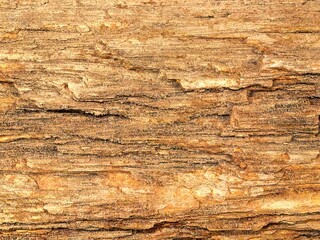 Warm Brown Rough Natural Wood Grain Texture