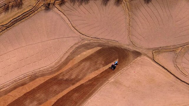 Farmer ploughing dry land in Dras Ladakh
