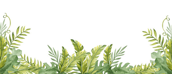 Tropical Leaves watercolor horizontal square Frame, banner. Eucalyptus, Monstera and Banana Palm with Liana. Hand drawn botanical illustration on a white background. Ideal for greeting cards and