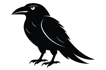 crow on a white background