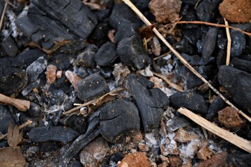 Charred Wood and Ashes on the Ground After a Fire Burn