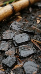 Dark, oily,  wood pieces on ground