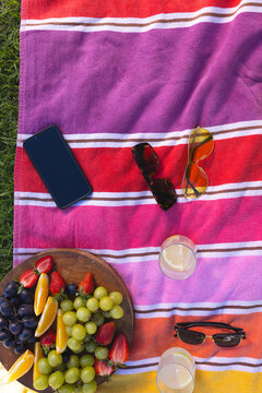 Striped towel lying on grass, featuring smartphone, sunglasses, lemon drinks, wooden fruit platter