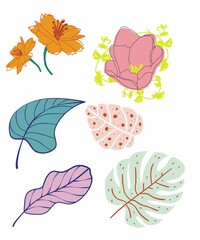 set of autumn leaves